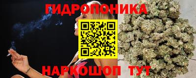 ALPHA PVP Кимры